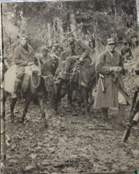 Image of Partisan dan Gerilyawan