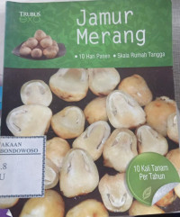 Image of Jamur Merang